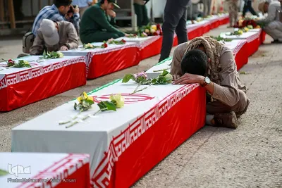 بازگشت لاله‌ها به آغوش وطن