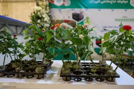 همایش ملی تجلیل از نام‌آوران علم و وقف