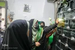 گلباران حرم های مطهر حضرت شاهچراغ (ع) و حضرت «ام احمد (س)»