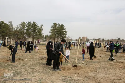پویش سراسری درختکاری - مشهد
