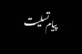 پیام تسلیت حجت‌الاسلام محمدحسن انصاری در پی درگذشت همسر آیت‌الله سیستانی