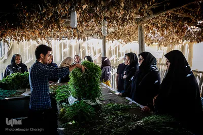 نذری تاسوعای حسینی