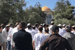 Hamas bezeichnet das Tempelberg-Urteil als 