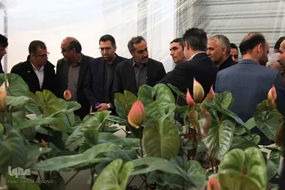 سفر یک روزه استاندار مرکزی به خمین