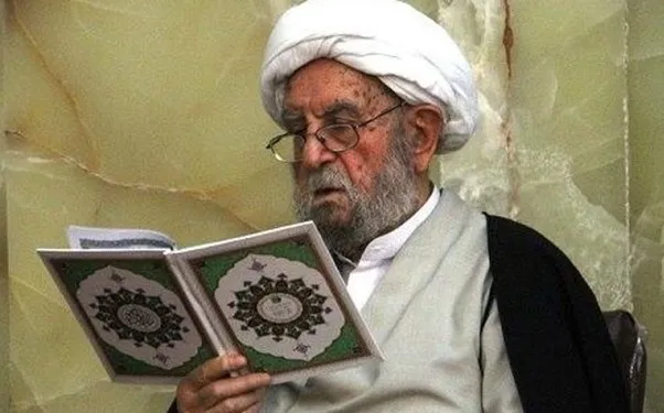 سعیدرضا عاملی درگذشت آیت‌الله امینی را تسلیت گفت
