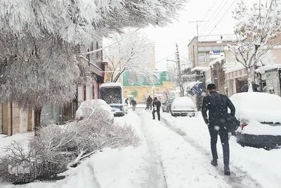 تهران روسفید شد