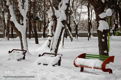 بهار 1401 با طعم برف و سرما در اهر