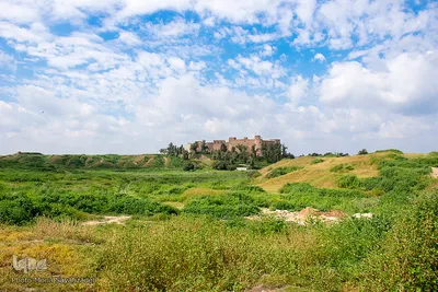 محوطه باستانی کاخ آپادانا و قلعه شاهی در شهرستان شوش