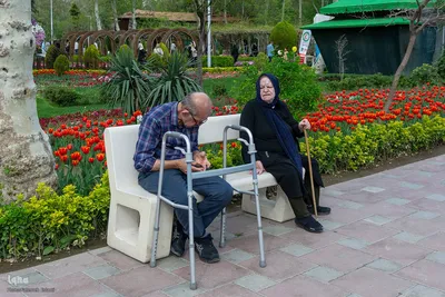 یازدهمین جشنواره لاله‌های کرج‎