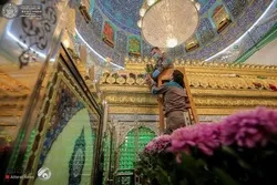Imam Ali (AS) Holy Shrine Decorated with Flowers
