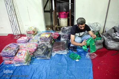 نمایشگاه «شمیم حسینی»