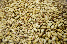 بازار گرم آجیل پزها در آستانه عید نوروز 
