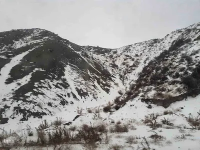 بارش برف در محورهای مواصلاتی شهرستان اهر