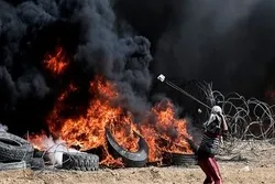 गाज़ा के निवासियों की 
