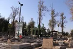 جشن میلاد حضرت زینب (س) در آستان مقدس امامزاده بی بی خدیجه(س)