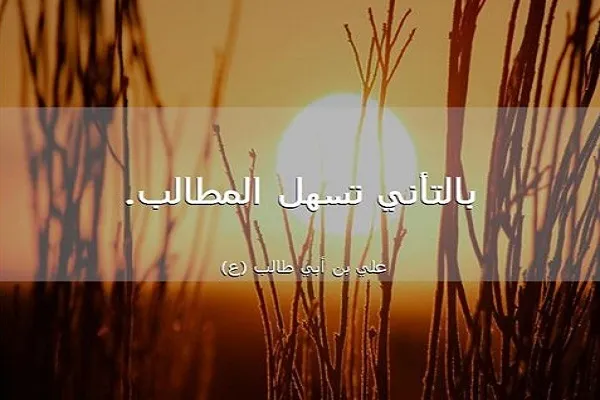 للتَّأَنّي بركات جليلة أهمّها النجاح والفوز والظفر