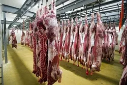 Ban on Halal, Kosher Meat Takes Effect in Belgium's Flemish Region