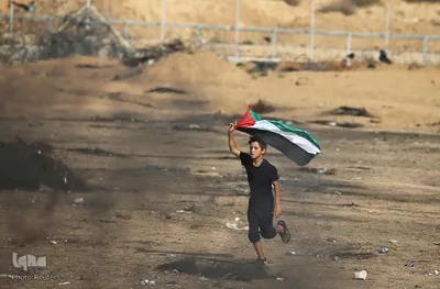 غزه همچنان در تب و تاب