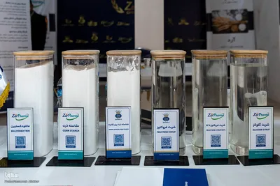 سیزدهمین نمایشگاه دستاوردهای پژوهش، فناوری و فن‌بازار استان البرز‎