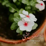 آیه گرافیک