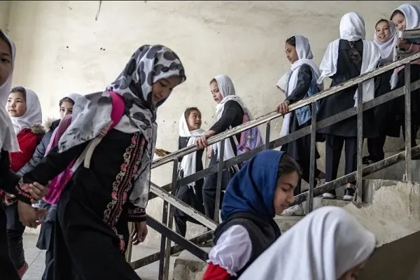 Taliban Official Urges Reversal of Education Ban for Afghan Women and Girls