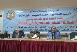 Taro Kan Matsayin Sunnar Manzo A Birnin Alkahira