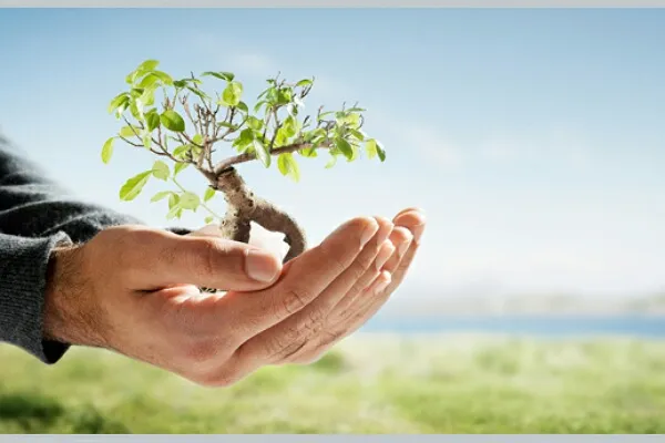 درختکاری؛ صدقه جاریه