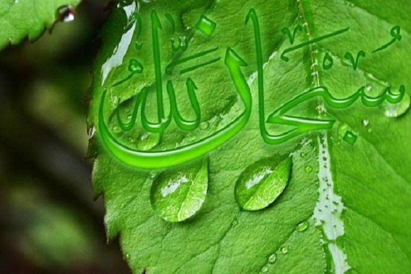 التسبيح إعلانٌ لتنزيه الله عن كل نقص