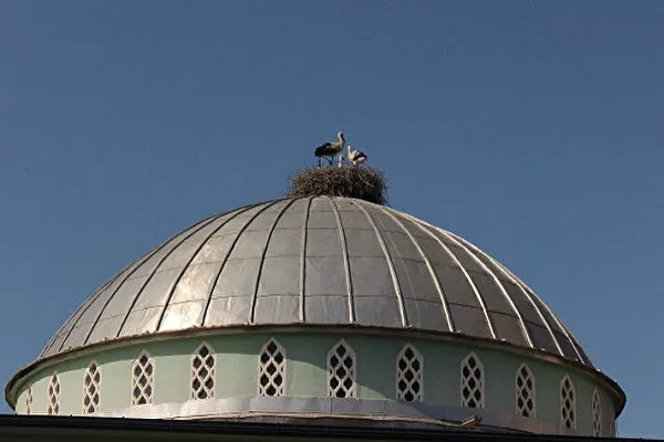 مسجد دوست پرندگان در ترکیه