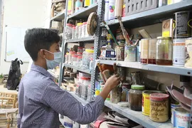 طرح بچه های «بلوط» شیراز