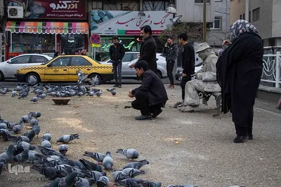 چهارراه کبوترها‎‎