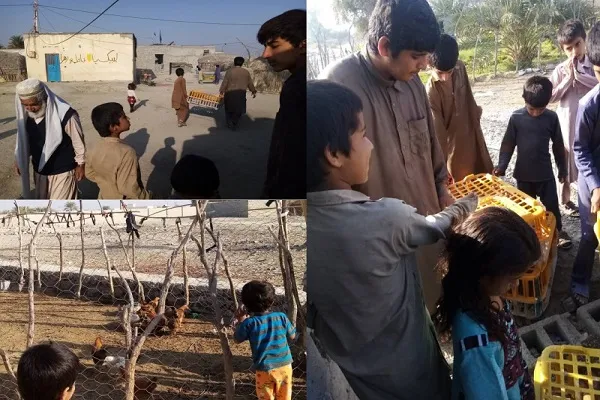اجرای طرح رونق اقتصاد خانگی از سوی دانشگاه تهران در سیستان‌ و بلوچستان