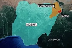 Magaidi wakufurishaji wa Boko Haram waua watu 69 nchini Nigeria