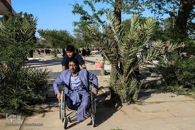 به یاد عزیزانی که هیچ‌گاه باز نمی‌گردند