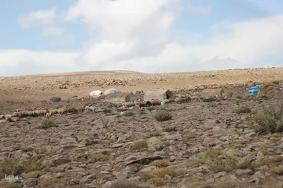 بازدید خبرنگاران استانی از مناطق عشایرنشین و ییلاقی اهر