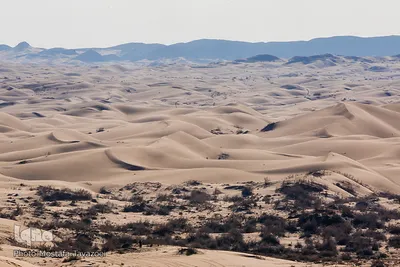 کویر مرنجاب