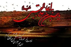 چرا امام حسن(ع) با معاویه وارد جنگ نشد؟