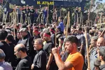 هزار و سیصد و سی‌امین آیین قالی‌شویان مشهد اردهال