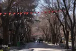 آذین بندی دهه فجر‎‎ اصفهان