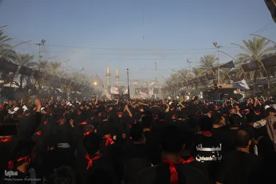 بین الحرمین در آستانه اربعین