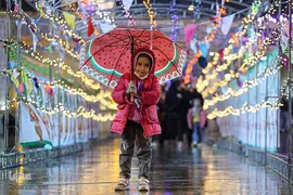 حال و هوای حرم شاهچراغ(ع) در شب نیمه شعبان‎