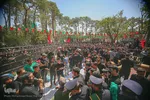 تشیع شهید گمنام در روز شهادت امام حسن عسکری
