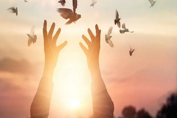 شَرُّ النّاسِ مَنْ لا يَشْكُرُ النِّعْمَةَ وَلا يَرْعى الْحُرْمَةَ