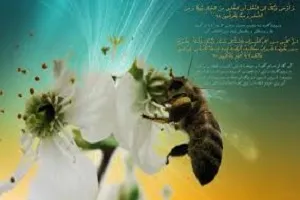 شیرینی شهد اقتصاد مقاومتی با تولید عسل