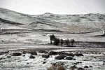 بارش برف پاییزی در ارتفاعات و مناطق روستایی اهر