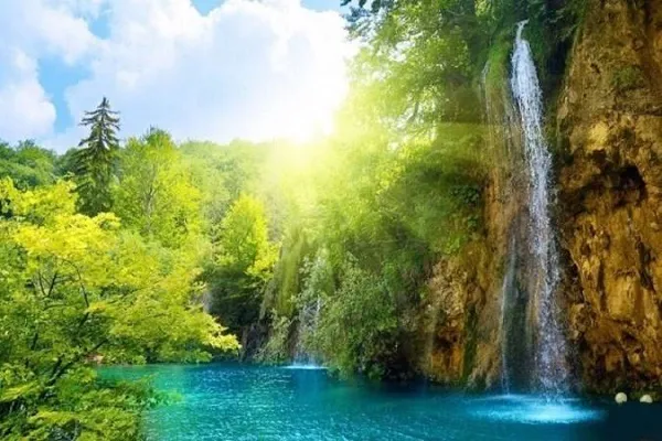 İnsanın Qiyamət günü əməllərinin təcəssümü