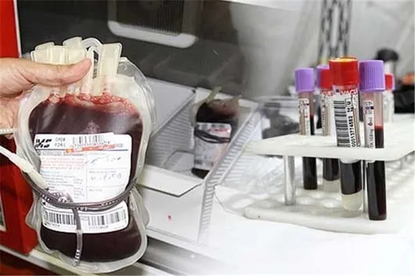 Donor Darah Para Peziarah Arbain untuk Orang-orang yang Membutuhkan di Irak