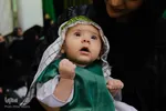 همایش شیرخوارگان حسینی در دامغان‎