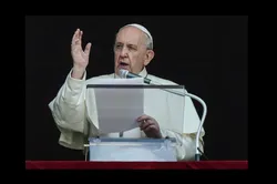 Papst fordert Ende der Gewalt in Jerusalem