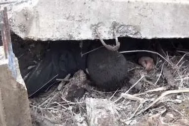 রাশিয়ার আস্ত্রাখান শহরের হামলাকারীরা ছিল ওয়াহাবি